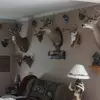 Rodney Howe - @rodney.howe4 - TikTok