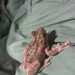Rodney Wayne Irving - @rodney.wayne3 - Instagram