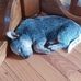 Rodney Irwin - Facebook