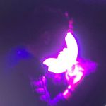 RJ - @rodney_jackson_official - Instagram