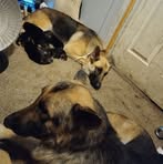 Rodney Jiles - Facebook