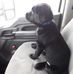 Rodney Kern - Facebook