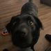 Rodney Kern - Facebook