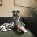 Rodney Keyes - @beardsgearsandbeers76 - Instagram