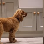 Rodney Adamson Kitchens - @rodneyadamsonkitchens - Instagram