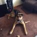 Rodney LaRue Hamilton - Facebook