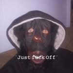 Rodney Lassiter - @lassiter8897 - Instagram