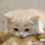 유진 - @rodney.layne - Instagram