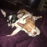 Rodney and Lilly x 💋 - @rodney.and.lilly.x - Instagram