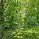Rodney loftis - @loftis_rodney - Instagram