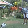 Lovell Rodney - @lovell.rodney - TikTok