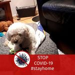 Rodney Luke - @rodney.luke.5815 - Instagram