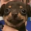 RODNEY MADERA - @rodney.madera3 - TikTok