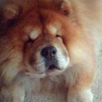 Rodney Marshall - @marshallrodney - Instagram