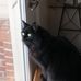 Rodney Mayberry - Facebook