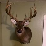 Rodney Mcclendon - @rodneymcclendon - Instagram