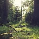 Rodney McConnell - @superchargedrodv8 - Instagram