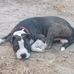 Rodney Mclemore - Facebook
