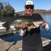 Rodney Mcnabb - Facebook