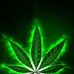 Rodney Michael - Facebook