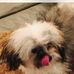 Rodney Mims - Facebook