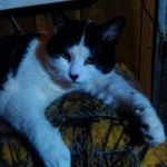 rodney moorman - @rodneymoorman - Instagram