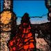 Rodney Morrow - Facebook