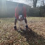 Rodney Napper II - @naptownkennels731 - Instagram