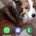 Rodney O'Connor - Facebook