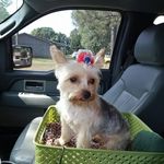 Rodney Orr - @orr.rodney - Instagram