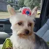 rodneyorr77 - @rodneyorr77 - TikTok