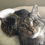 Otto & Rodney - @ottorodney666 - Instagram