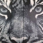Rodney Page - @regalbengaltiger - Instagram