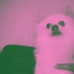 rod - @patrick_rodney - Instagram