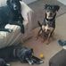 Rodney Patten - Facebook