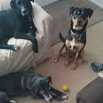 Rodney Patten - @rodney.patten.5 - Instagram