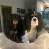 rod paulson - @rod.paulson - TikTok