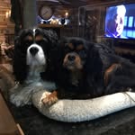 rodney paulson - @rodster8449 - Instagram