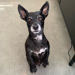 Pepper Rodney - @pepper.rodney - Instagram