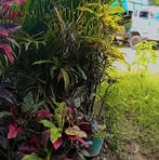 Rodney Babor - Facebook