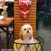 Rodney De Peralta - @yoggnu_ - TikTok