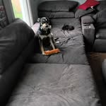 Rodney Pitzer - @pitzer606 - Instagram