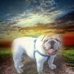 Rodney Poston - @rodney.poston.5 - Instagram