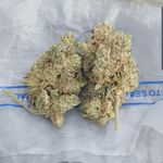 rodney potter - @smoketrees707 - Instagram
