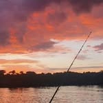 Rodney Potter - @rodpotter23 - Instagram