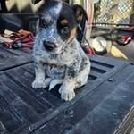 Rodney Rector - @rodneyrector13 - Instagram