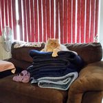 Rodney Redding - @rodney.redding.395 - Instagram