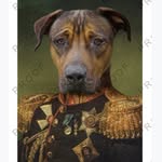 RodneytheRidgebackX - @rodneytheridgebackx - Instagram