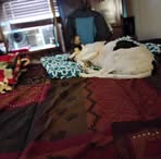 Rodney Rigby - Facebook