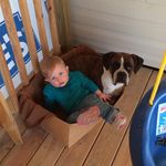 Rodney Roy - @rodney2360 - Instagram